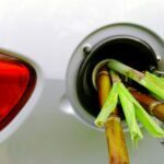 Welke Auto’s Kunnen op E10 Rijden