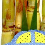 Welke Auto’s Rijden op E10